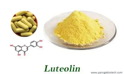 Luteolin: A Powerful Compound for Heart Health
